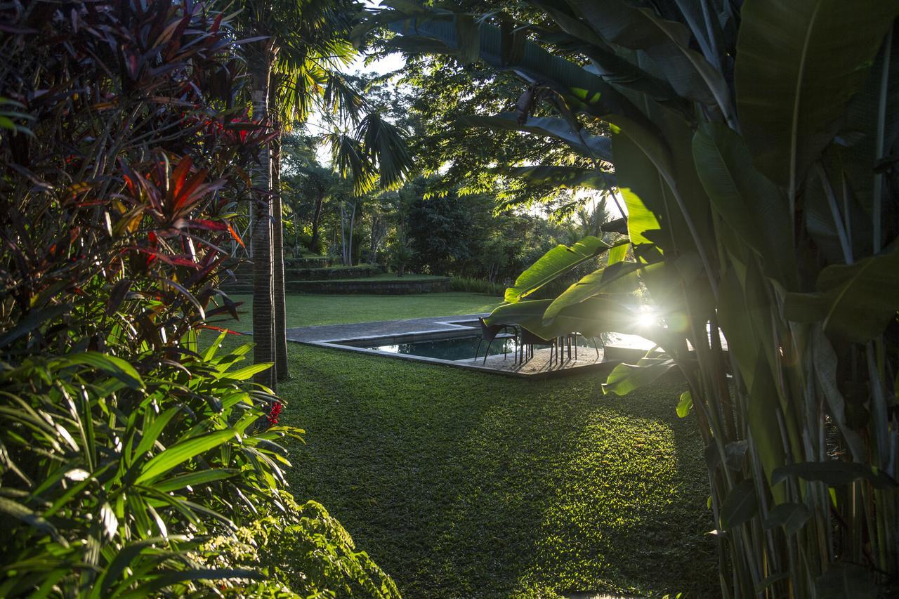 Alassari Plantation Selemadeg  Luaran gambar