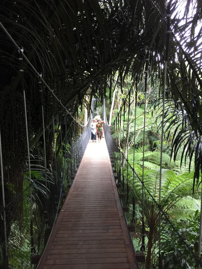 Alassari Plantation Selemadeg  Luaran gambar