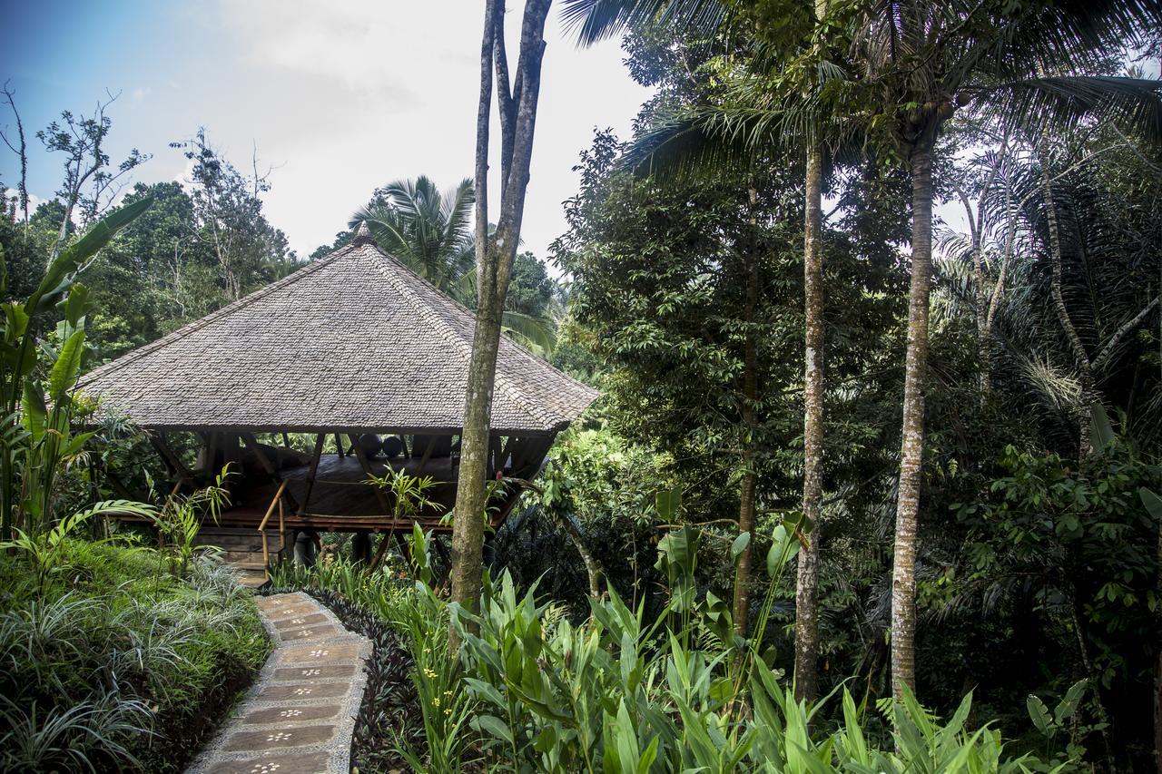 Alassari Plantation Selemadeg  Luaran gambar