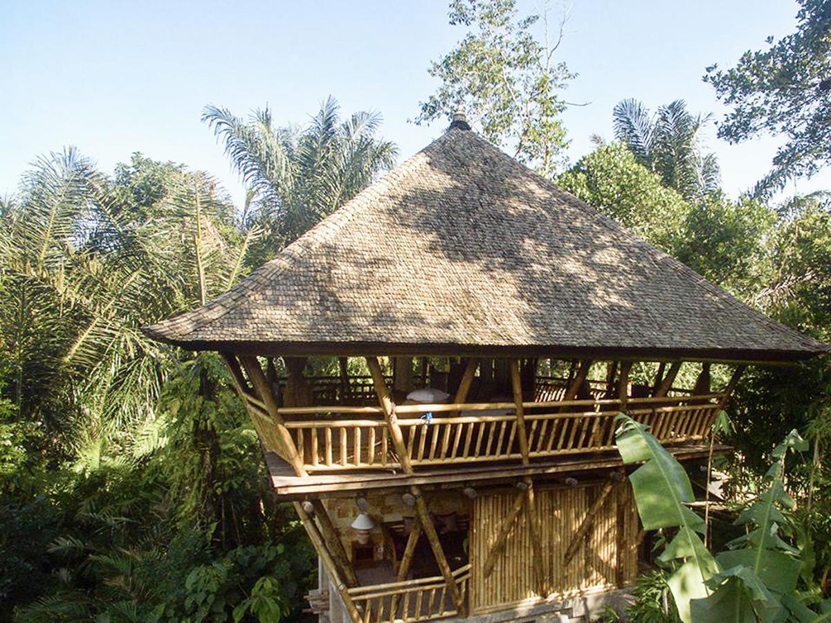 Alassari Plantation Selemadeg  Luaran gambar