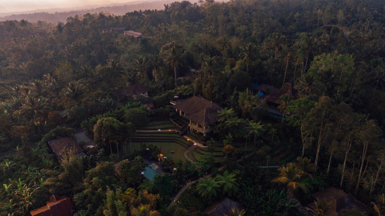 Alassari Plantation Selemadeg  Luaran gambar